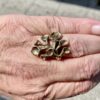Hannu Ikonen for Valo-Koru, bronze reindeer moss ring, Finland (S+315) SOLD - Image 2