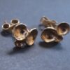 Jane Watling of Lacock, pair of 9 carat gold 'Shells' ear studs, London 2004 (Ref S+925) SOLD - Image 3