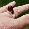 Peter Hammond Dollar, carnelian set silver ring, London 1973 (Ref S+1077) SOLD - Image 6