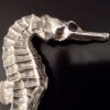 Tony and Susan Appleton, sapphire set heavy silver seahorse brooch, London, 2000 (Ref S+2446) SOLD - Image 4